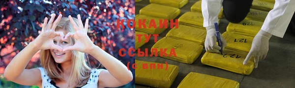 стаф Алзамай