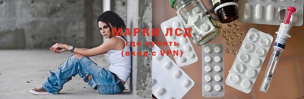 стаф Алзамай
