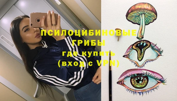 стаф Алзамай