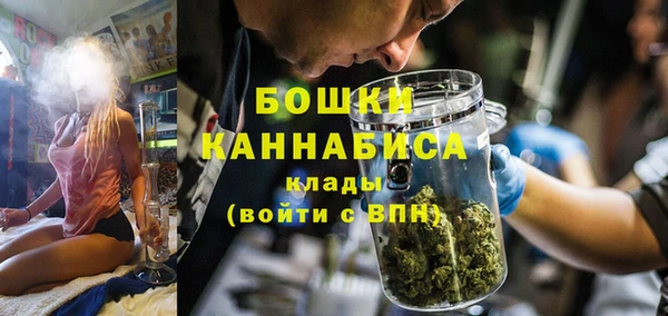 сатива Алексин
